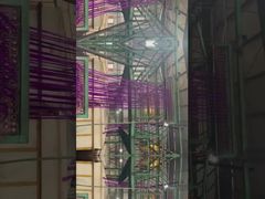 8Δ*102MM ΙΝΑ ΣΤΑΦΙΔΑΣ ΠΟΛΥΕΣΤΕΡΙΚΟΥ